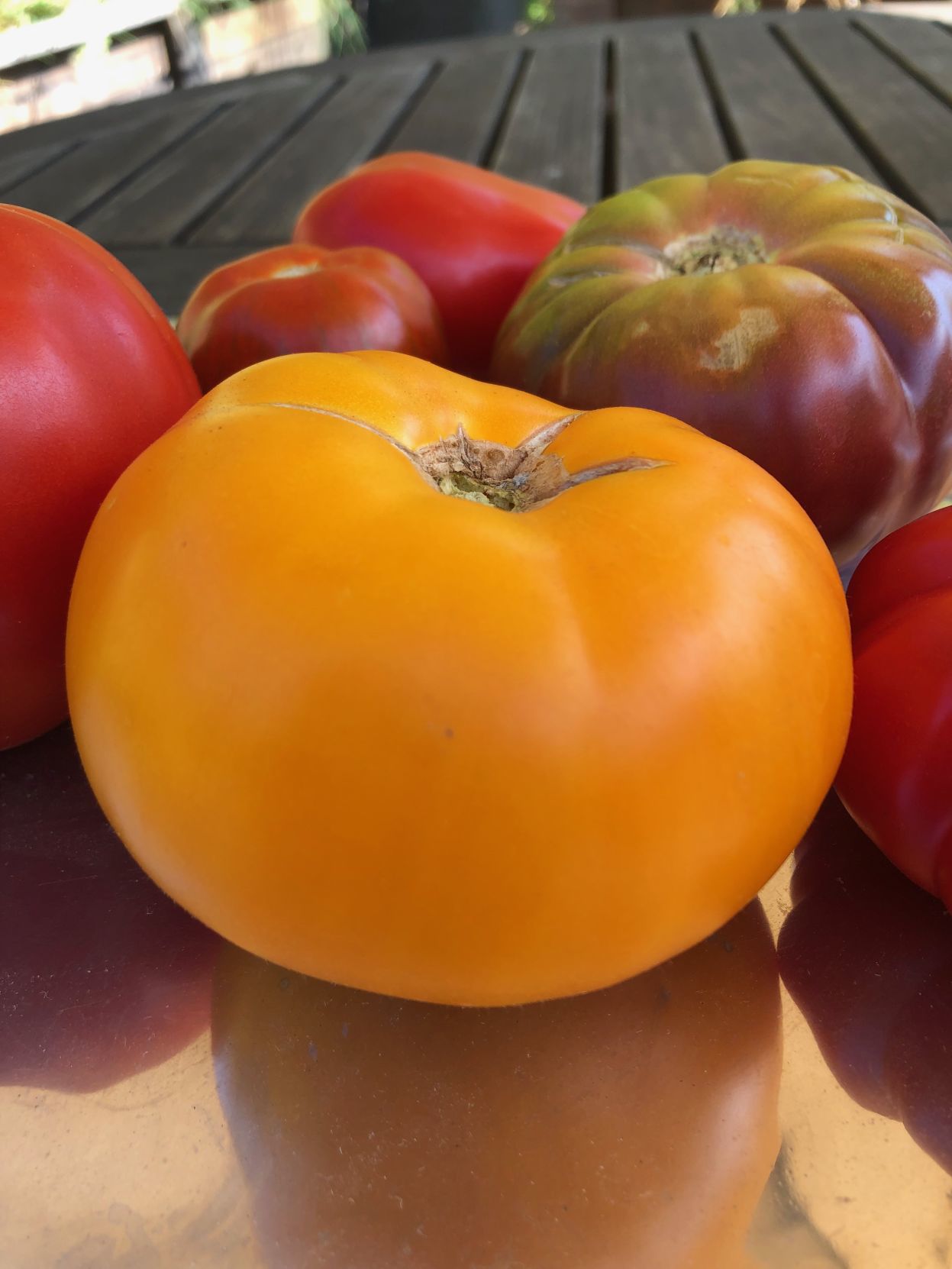 Persimmon
